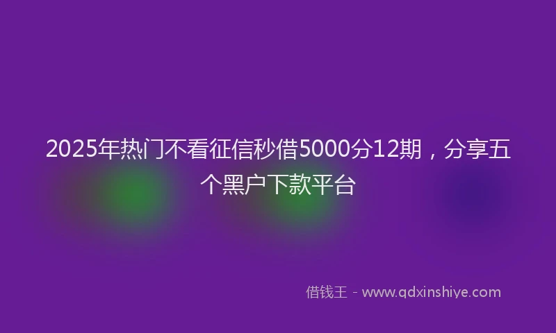 2025年热门不看征信秒借5000分12期，分享五个黑户下款平台