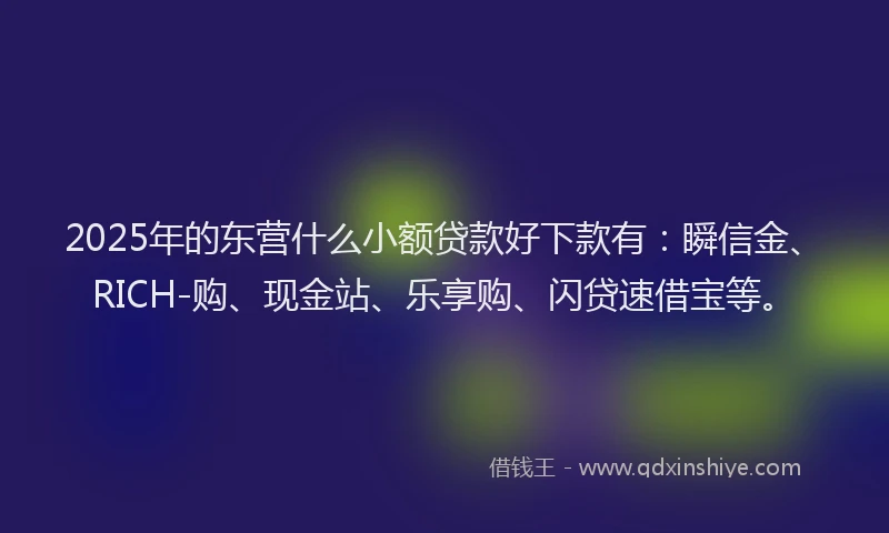 2025年的东营什么小额贷款好下款有：瞬信金、RICH-购、现金站、乐享购、闪贷速借宝等。