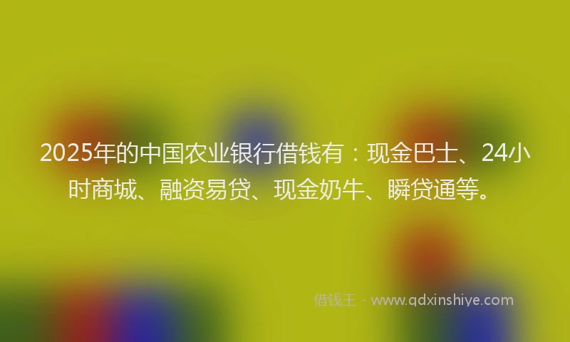 2025年的中国农业银行借钱有：现金巴士、24小时商城、融资易贷、现金奶牛、瞬贷通等。