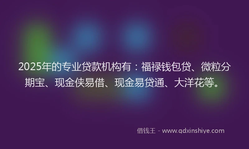 2025年的专业贷款机构有：福禄钱包贷、微粒分期宝、现金侠易借、现金易贷通、大洋花等。