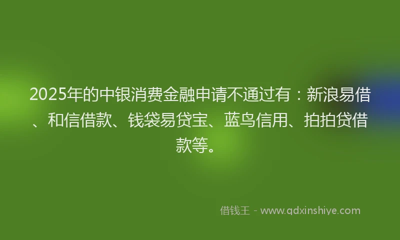 2025年的中银消费金融申请不通过有：新浪易借、和信借款、钱袋易贷宝、蓝鸟信用、拍拍贷借款等。