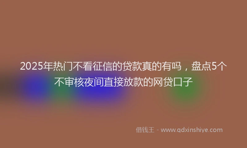 2025年热门不看征信的贷款真的有吗，盘点5个不审核夜间直接放款的网贷口子