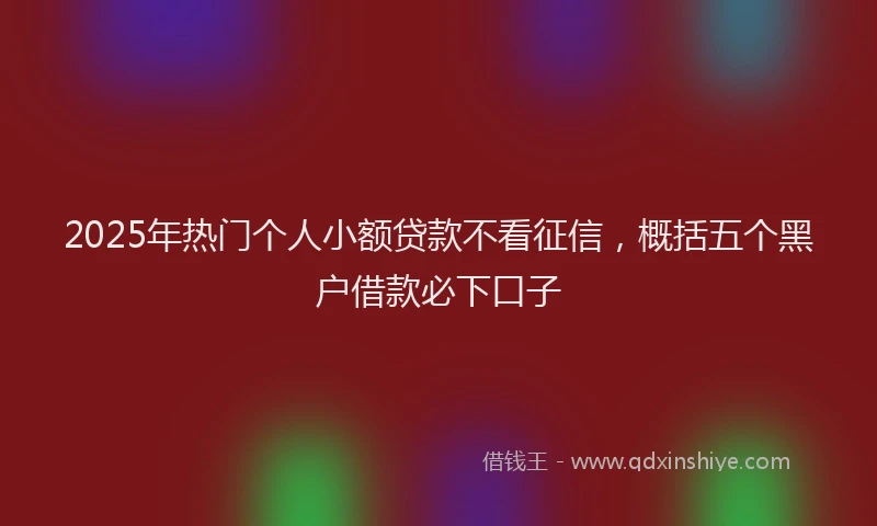 2025年热门个人小额贷款不看征信，概括五个黑户借款必下口子