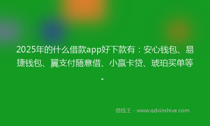 2025年的什么借款app好下款有：安心钱包、易捷钱包、翼支付随意借、小赢卡贷、琥珀买单等。