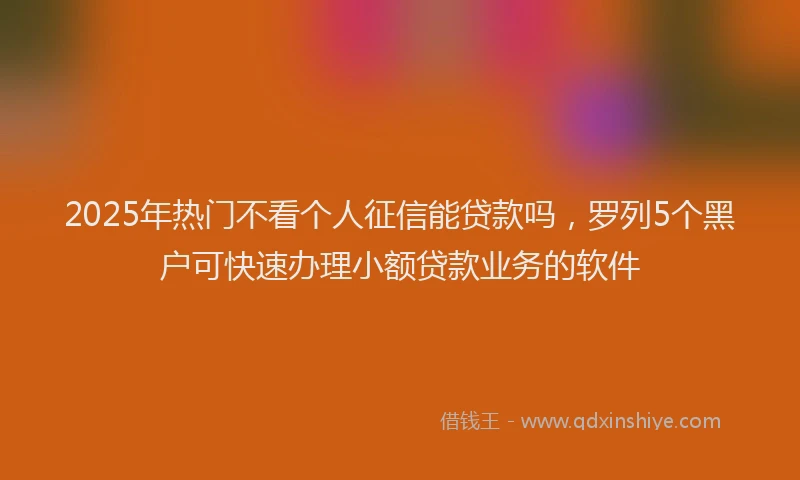 2025年热门不看个人征信能贷款吗，罗列5个黑户可快速办理小额贷款业务的软件
