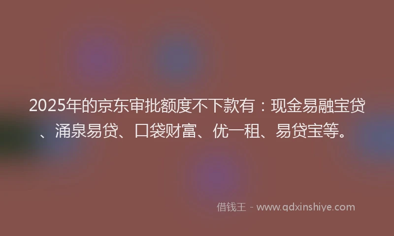 2025年的京东审批额度不下款有：现金易融宝贷、涌泉易贷、口袋财富、优一租、易贷宝等。