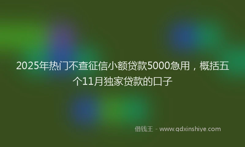 2025年热门不查征信小额贷款5000急用，概括五个11月独家贷款的口子