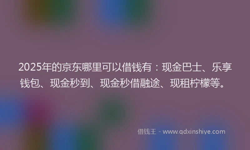 2025年的京东哪里可以借钱有：现金巴士、乐享钱包、现金秒到、现金秒借融途、现租柠檬等。