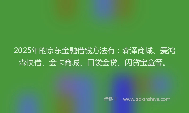 2025年的京东金融借钱方法有：森泽商城、爱鸿森快借、金卡商城、口袋金贷、闪贷宝盒等。