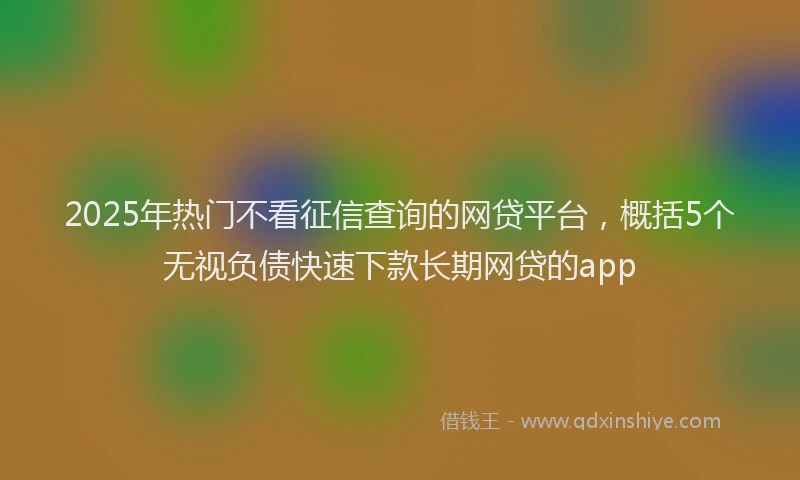2025年热门不看征信查询的网贷平台，概括5个无视负债快速下款长期网贷的app
