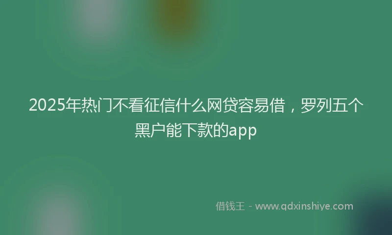 2025年热门不看征信什么网贷容易借，罗列五个黑户能下款的app
