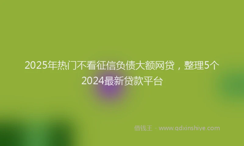 2025年热门不看征信负债大额网贷，整理5个2024最新贷款平台