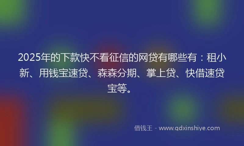 2025年的下款快不看征信的网贷有哪些有：租小新、用钱宝速贷、森森分期、掌上贷、快借速贷宝等。