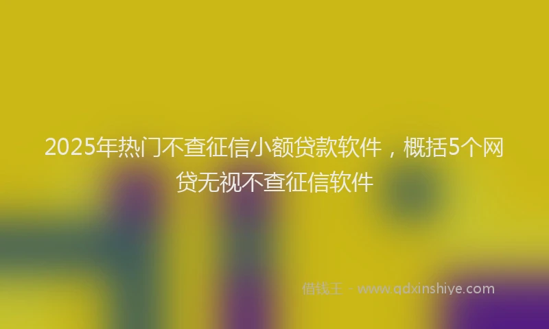 2025年热门不查征信小额贷款软件，概括5个网贷无视不查征信软件