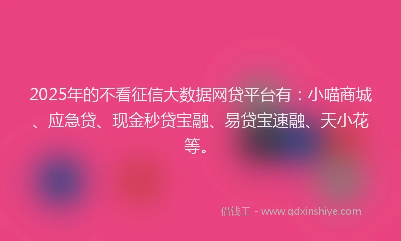 2025年的不看征信大数据网贷平台有：小喵商城、应急贷、现金秒贷宝融、易贷宝速融、天小花等。