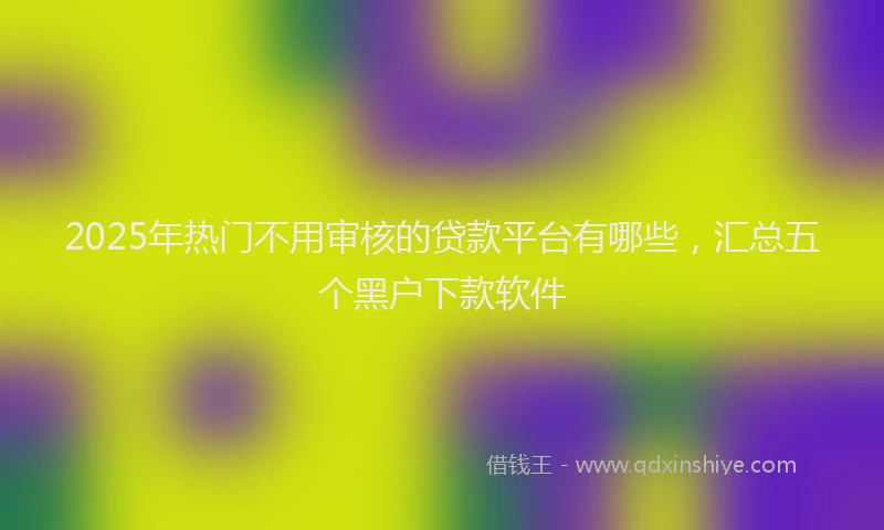 2025年热门不用审核的贷款平台有哪些，汇总五个黑户下款软件