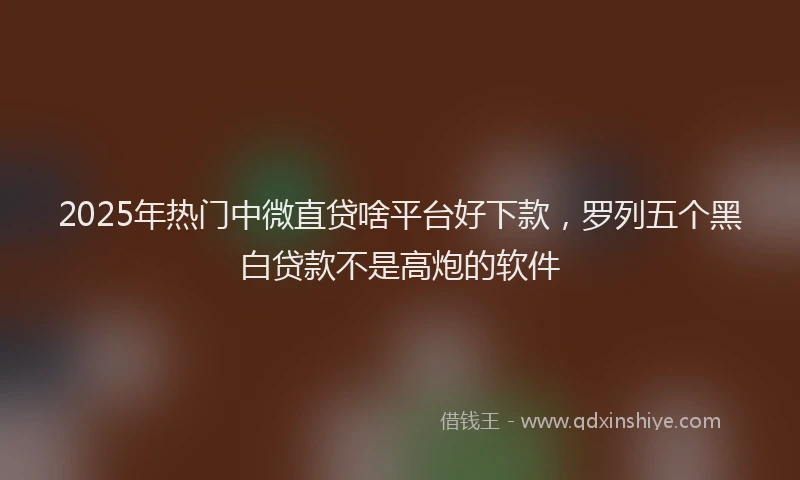 2025年热门中微直贷啥平台好下款，罗列五个黑白贷款不是高炮的软件