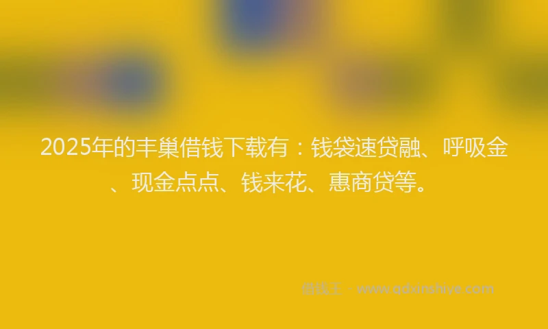2025年的丰巢借钱下载有：钱袋速贷融、呼吸金、现金点点、钱来花、惠商贷等。