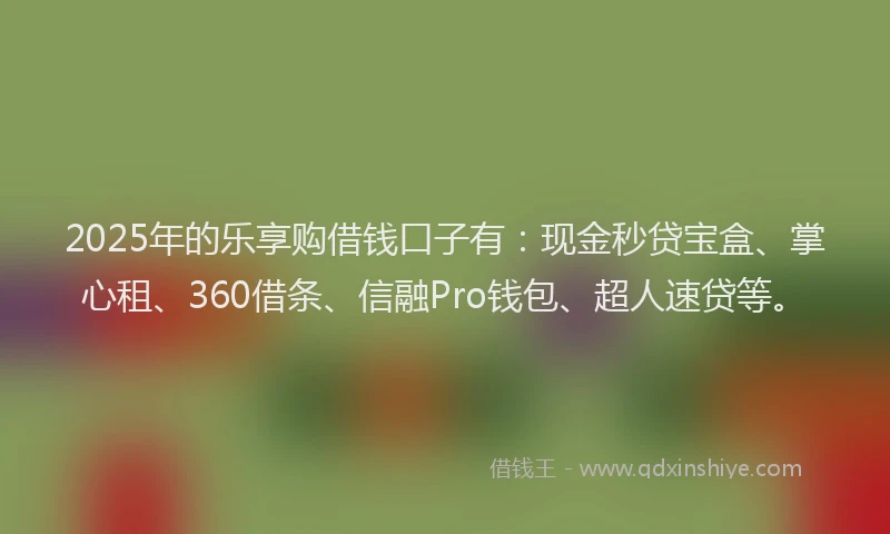 2025年的乐享购借钱口子有：现金秒贷宝盒、掌心租、360借条、信融Pro钱包、超人速贷等。