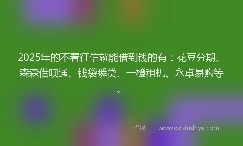 2025年的不看征信就能借到钱的有：花豆分期、森森借呗通、钱袋瞬贷、一橙租机、永卓易购等。