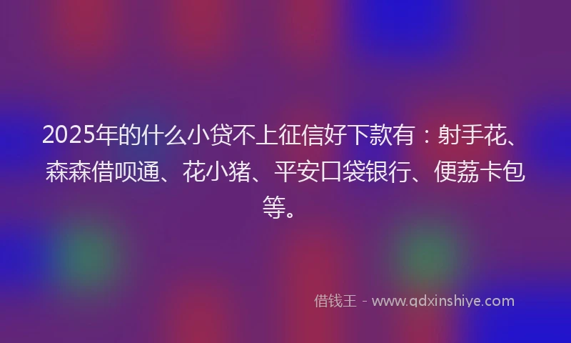 2025年的什么小贷不上征信好下款有：射手花、森森借呗通、花小猪、平安口袋银行、便荔卡包等。