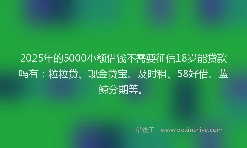 2025年的5000小额借钱不需要征信18岁能贷款吗有：粒粒贷、现金贷宝、及时租、58好借、蓝鲸分期等。