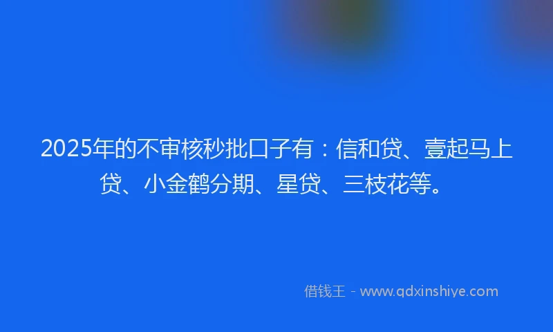 2025年的不审核秒批口子有：信和贷、壹起马上贷、小金鹤分期、星贷、三枝花等。