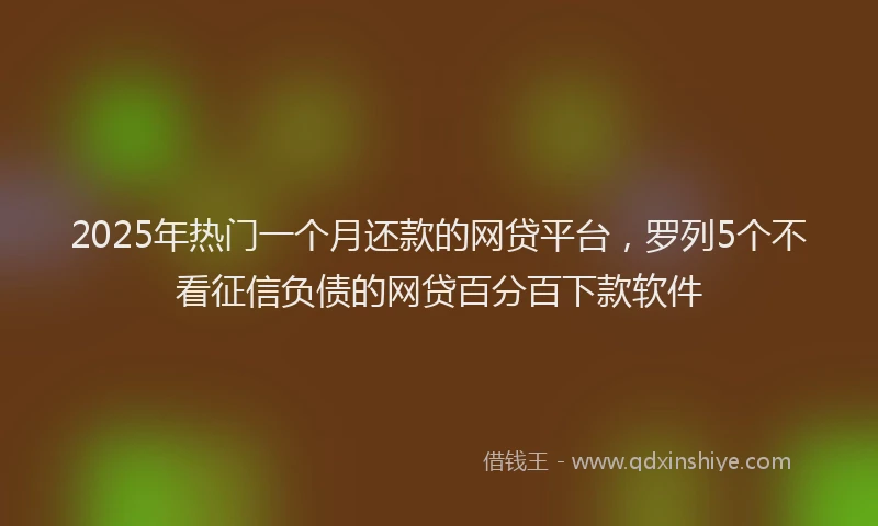 2025年热门一个月还款的网贷平台，罗列5个不看征信负债的网贷百分百下款软件