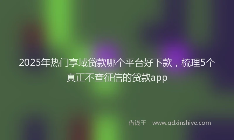 2025年热门享域贷款哪个平台好下款，梳理5个真正不查征信的贷款app