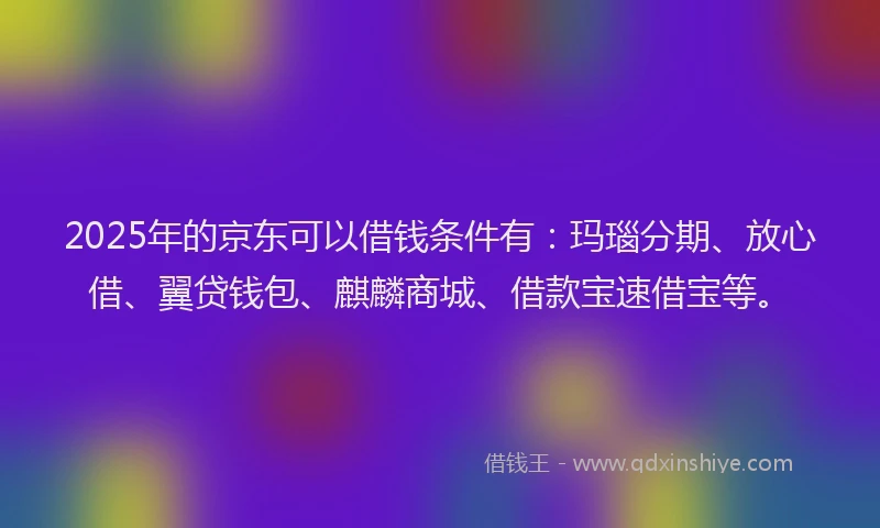 2025年的京东可以借钱条件有：玛瑙分期、放心借、翼贷钱包、麒麟商城、借款宝速借宝等。