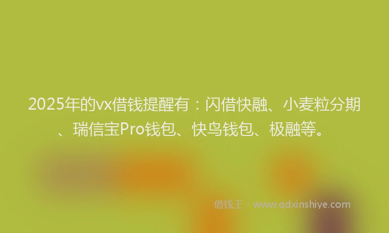 2025年的vx借钱提醒有：闪借快融、小麦粒分期、瑞信宝Pro钱包、快鸟钱包、极融等。