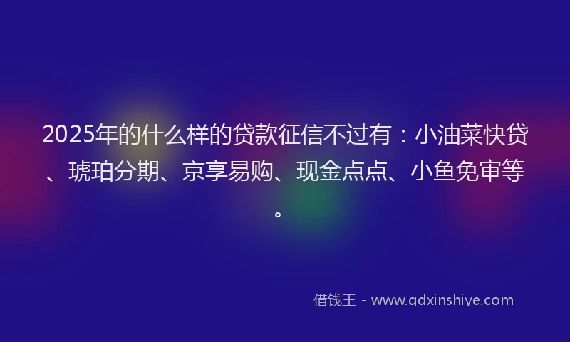 2025年的什么样的贷款征信不过有：小油菜快贷、琥珀分期、京享易购、现金点点、小鱼免审等。