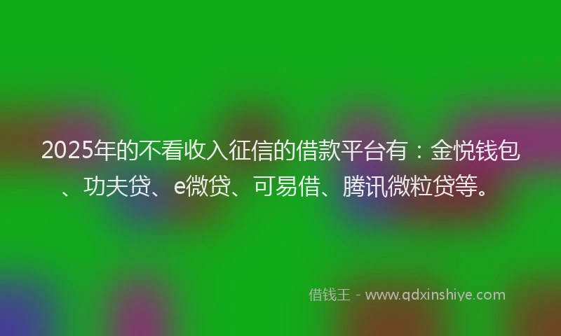 2025年的不看收入征信的借款平台有：金悦钱包、功夫贷、e微贷、可易借、腾讯微粒贷等。