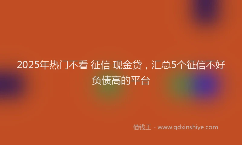 2025年热门不看 征信 现金贷，汇总5个征信不好负债高的平台