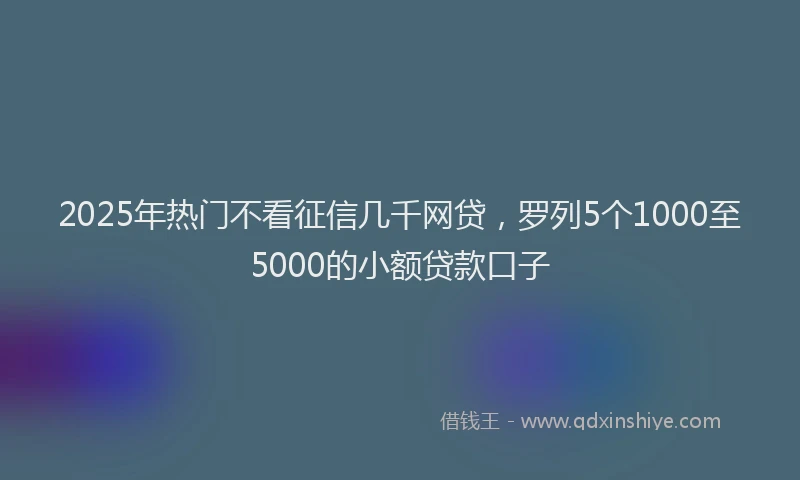 2025年热门不看征信几千网贷，罗列5个1000至5000的小额贷款口子