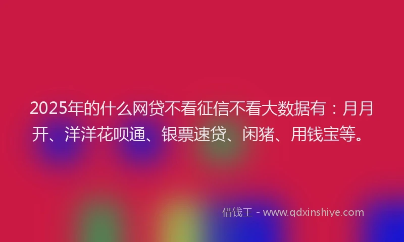 2025年的什么网贷不看征信不看大数据有：月月开、洋洋花呗通、银票速贷、闲猪、用钱宝等。