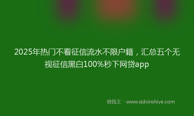 2025年热门不看征信流水不限户籍，汇总五个无视征信黑白100%秒下网贷app