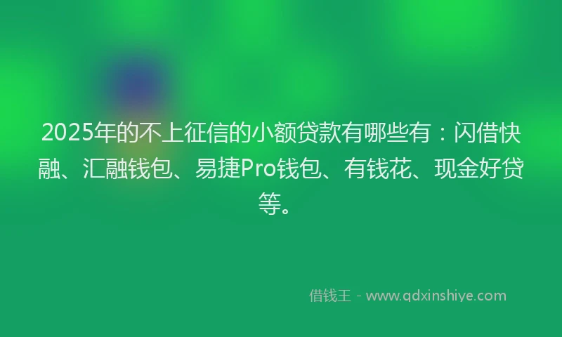 2025年的不上征信的小额贷款有哪些有：闪借快融、汇融钱包、易捷Pro钱包、有钱花、现金好贷等。