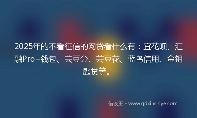 2025年的不看征信的网贷看什么有：宜花呗、汇融Pro+钱包、芸豆分、芸豆花、蓝鸟信用、金钥匙贷等。