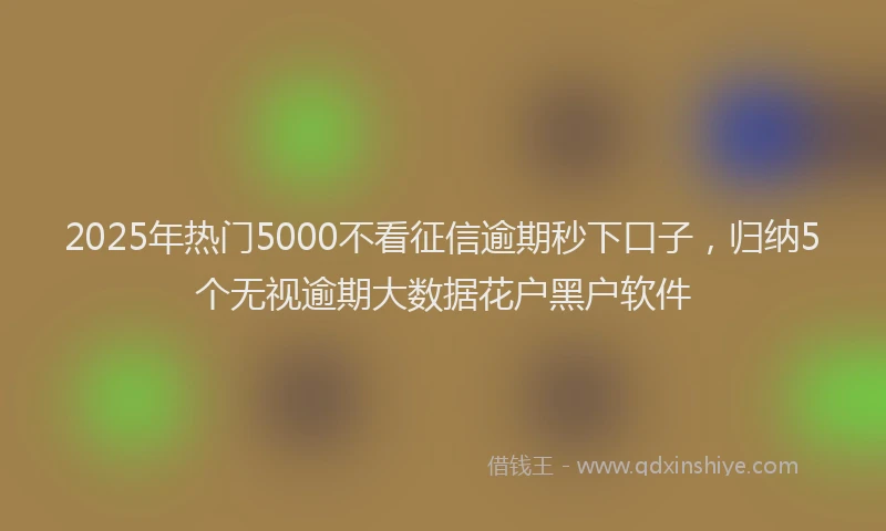 2025年热门5000不看征信逾期秒下口子，归纳5个无视逾期大数据花户黑户软件