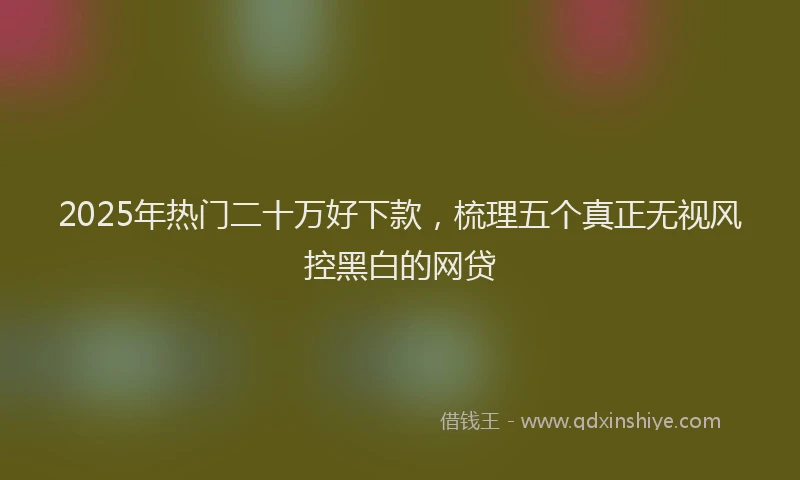 2025年热门二十万好下款，梳理五个真正无视风控黑白的网贷