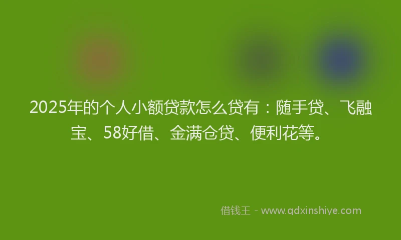 2025年的个人小额贷款怎么贷有：随手贷、飞融宝、58好借、金满仓贷、便利花等。