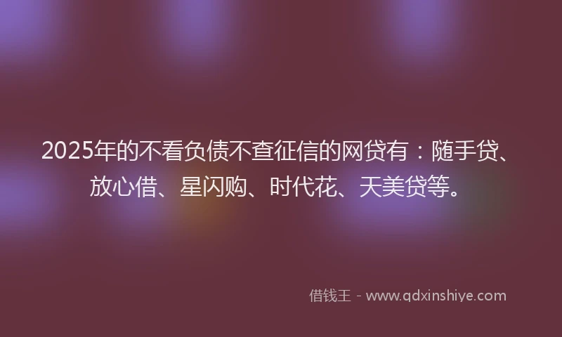 2025年的不看负债不查征信的网贷有：随手贷、放心借、星闪购、时代花、天美贷等。