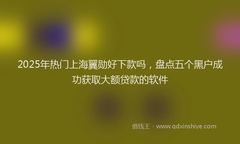 2025年热门上海翼勋好下款吗，盘点五个黑户成功获取大额贷款的软件