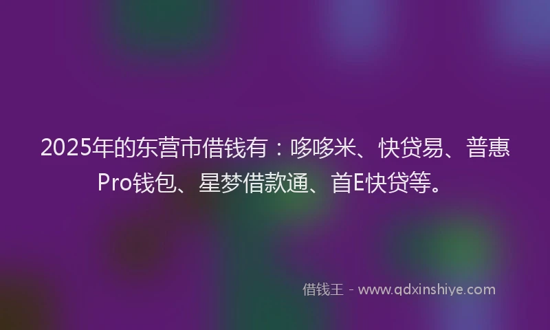 2025年的东营市借钱有：哆哆米、快贷易、普惠Pro钱包、星梦借款通、首E快贷等。