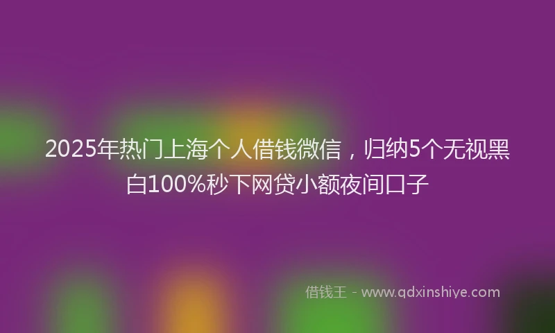 2025年热门上海个人借钱微信，归纳5个无视黑白100%秒下网贷小额夜间口子