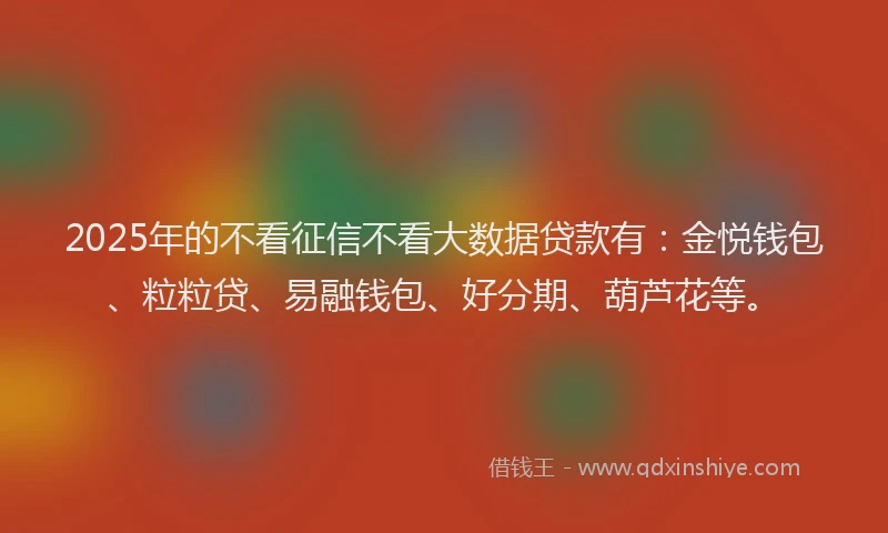 2025年的不看征信不看大数据贷款有：金悦钱包、粒粒贷、易融钱包、好分期、葫芦花等。