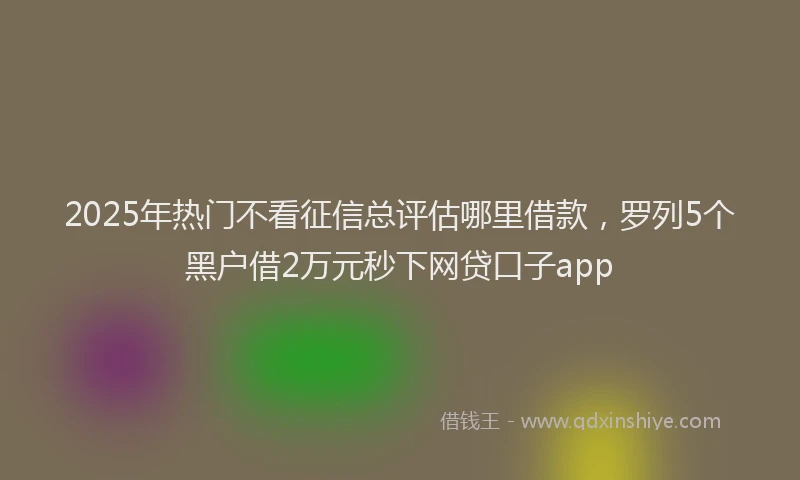 2025年热门不看征信总评估哪里借款，罗列5个黑户借2万元秒下网贷口子app