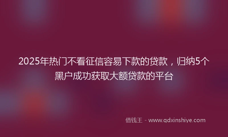 2025年热门不看征信容易下款的贷款，归纳5个黑户成功获取大额贷款的平台