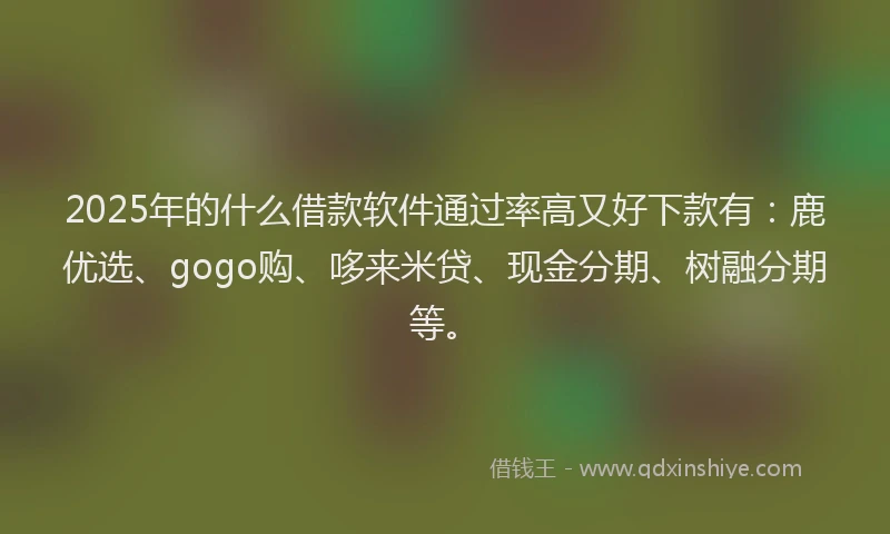 2025年的什么借款软件通过率高又好下款有：鹿优选、gogo购、哆来米贷、现金分期、树融分期等。